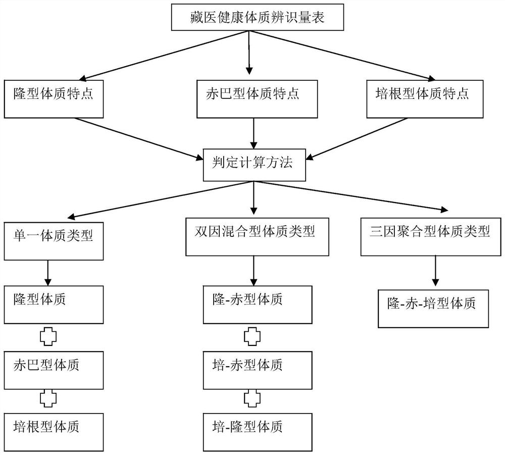 Tibetan medicine healthy physique identification method