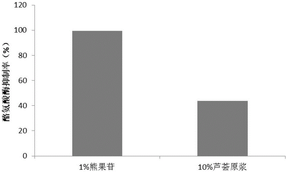 Fermented aloe raw stock cosmetic and preparation method and application thereof