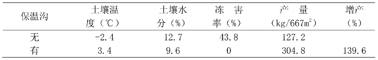 A method for preventing and controlling freezing damage of Cistanche piculosum