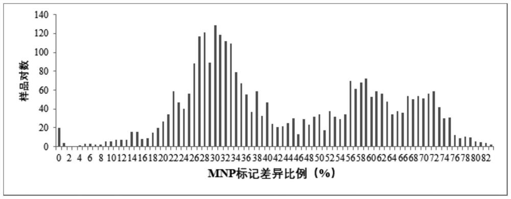 MNP core primer combination for eggplant DNA variety molecular identification and application thereof
