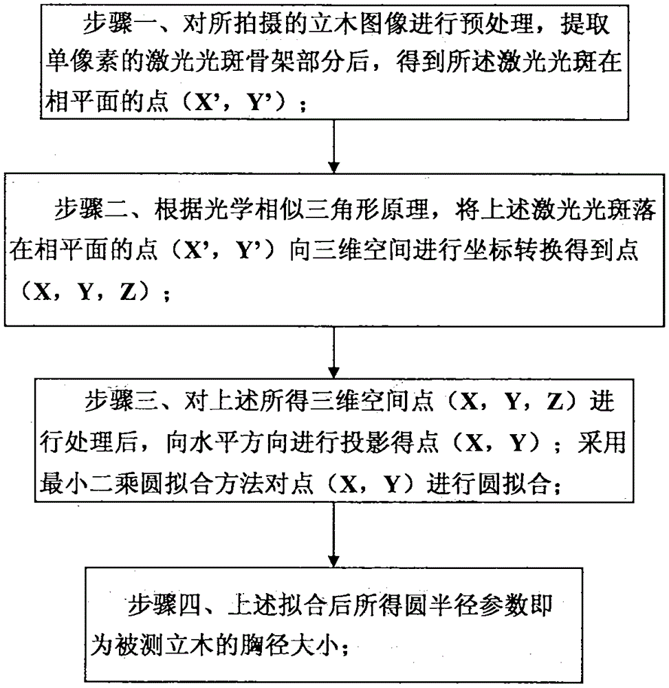 Measuring method of standing tree diameter at breast height based on optical similar triangle method