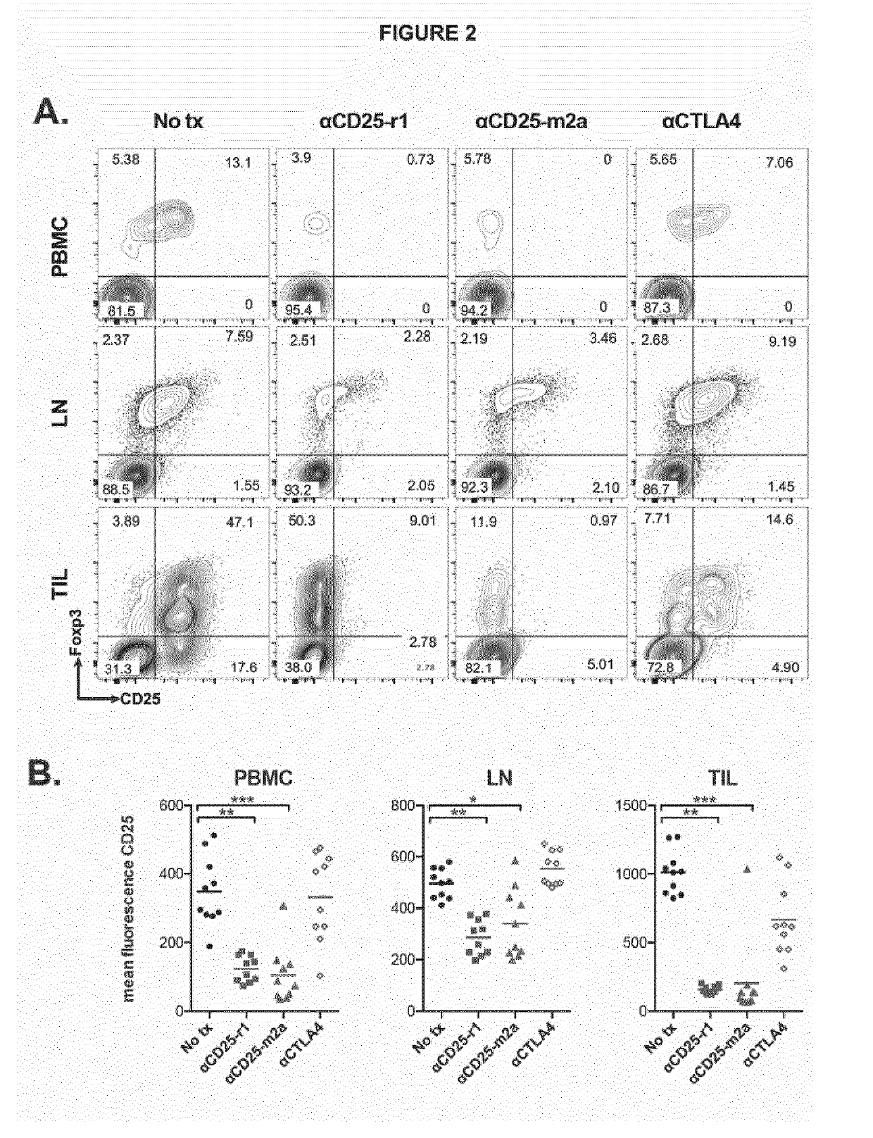 Anti cd25 fc gamma receptor bispecific antibodies for tumor specific cell depletion