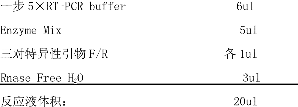 One-step RT-PCR (Reverse Transcription-Polymerase Chain Reaction) detection kit for influenza virus