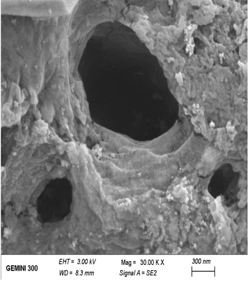 A carbon-based solid acid catalyst and its preparation method and its application to biomass hydrothermal conversion