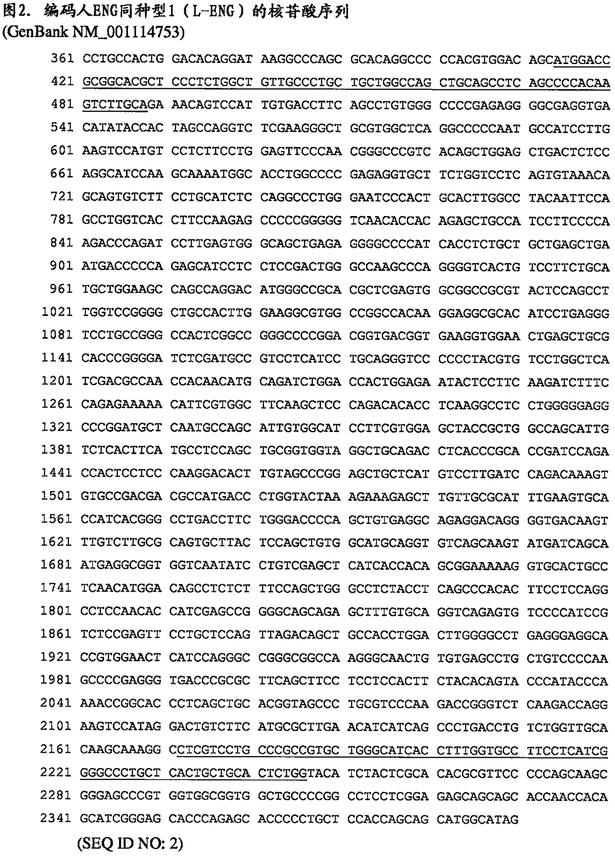 Endoglin polypeptides and uses thereof