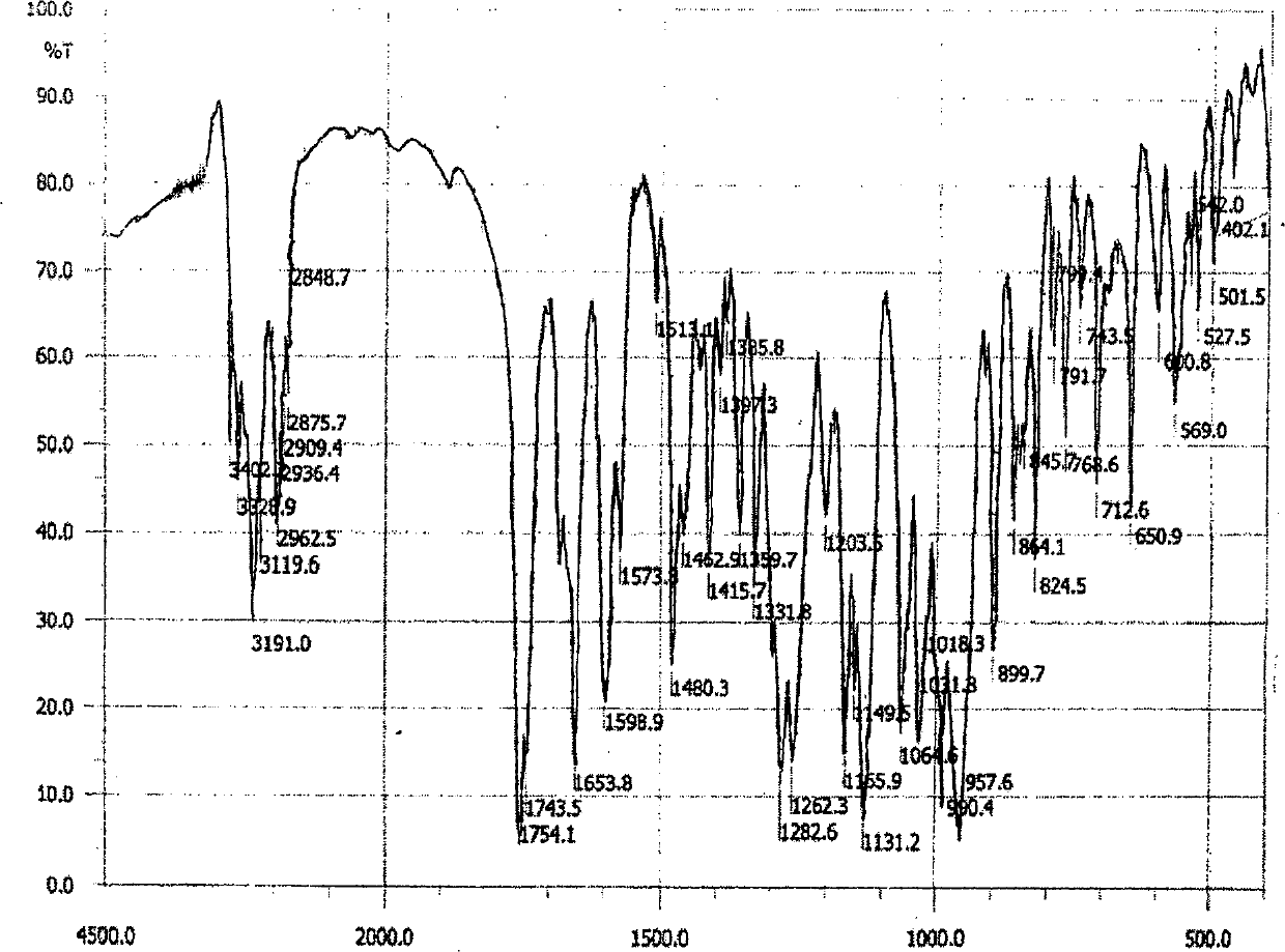 Adefovir dipivoxil CHARIOTEER crystallographic form and preparation method thereof