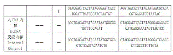 Multi-gene detection kit for guiding administration of platinum drugs and detection method of multi-gene detection kit