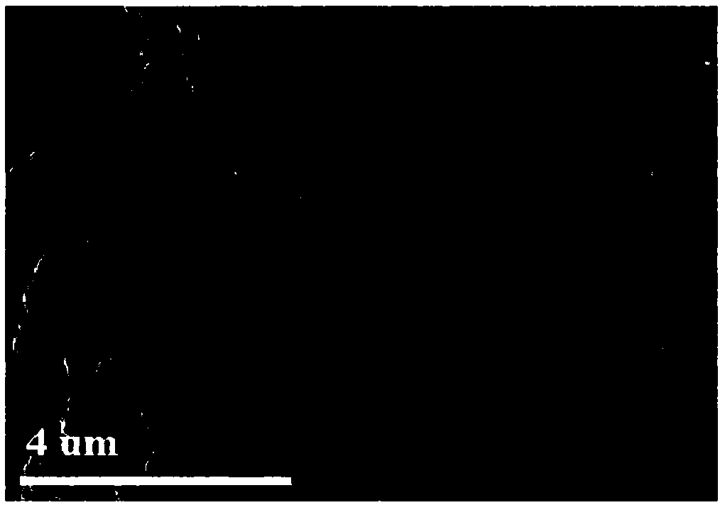 Graphene supported SbVO4 nanoparticle composite material and preparation method thereof