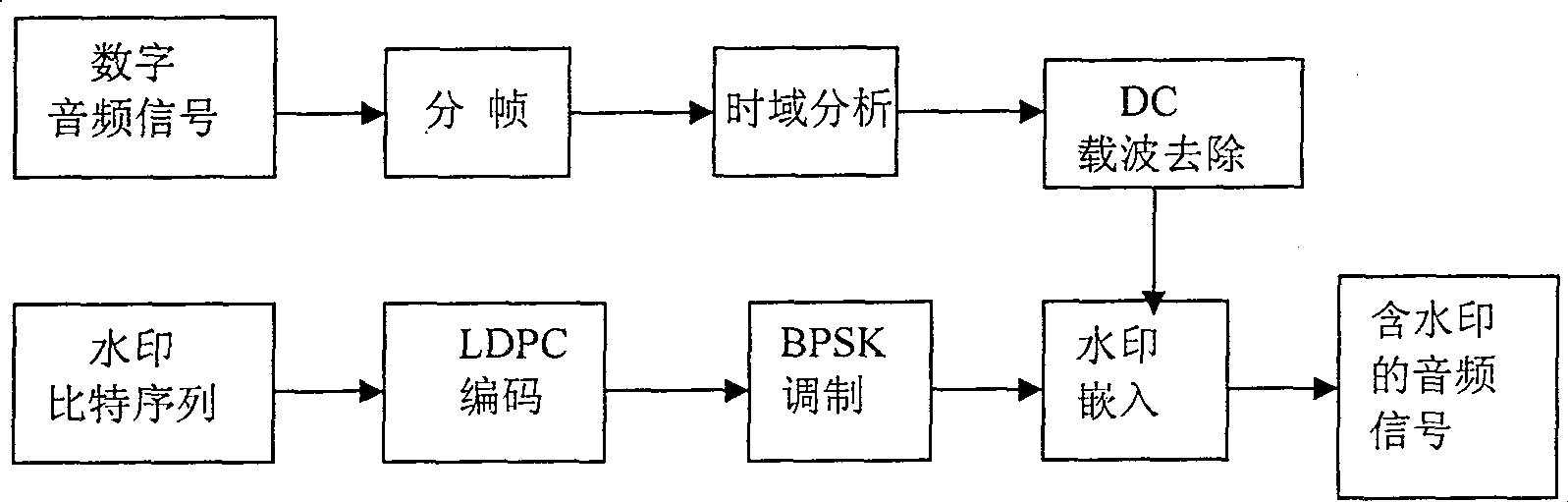 Didigal audio waterprint method based on low density parity check code