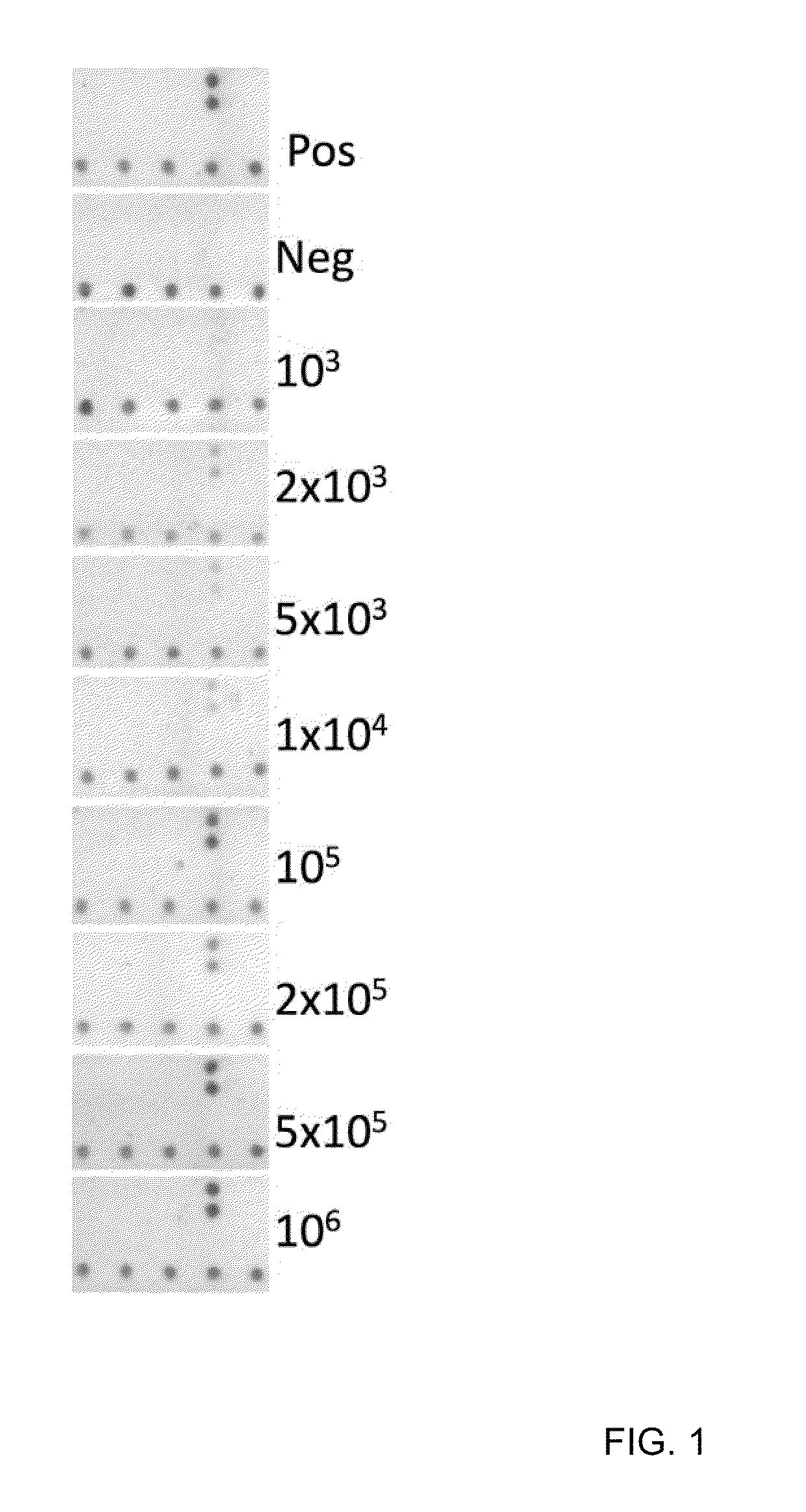 Highly Simplified Lateral Flow-Based Nucleic Acid Sample Preparation and Passive Fluid Flow Control