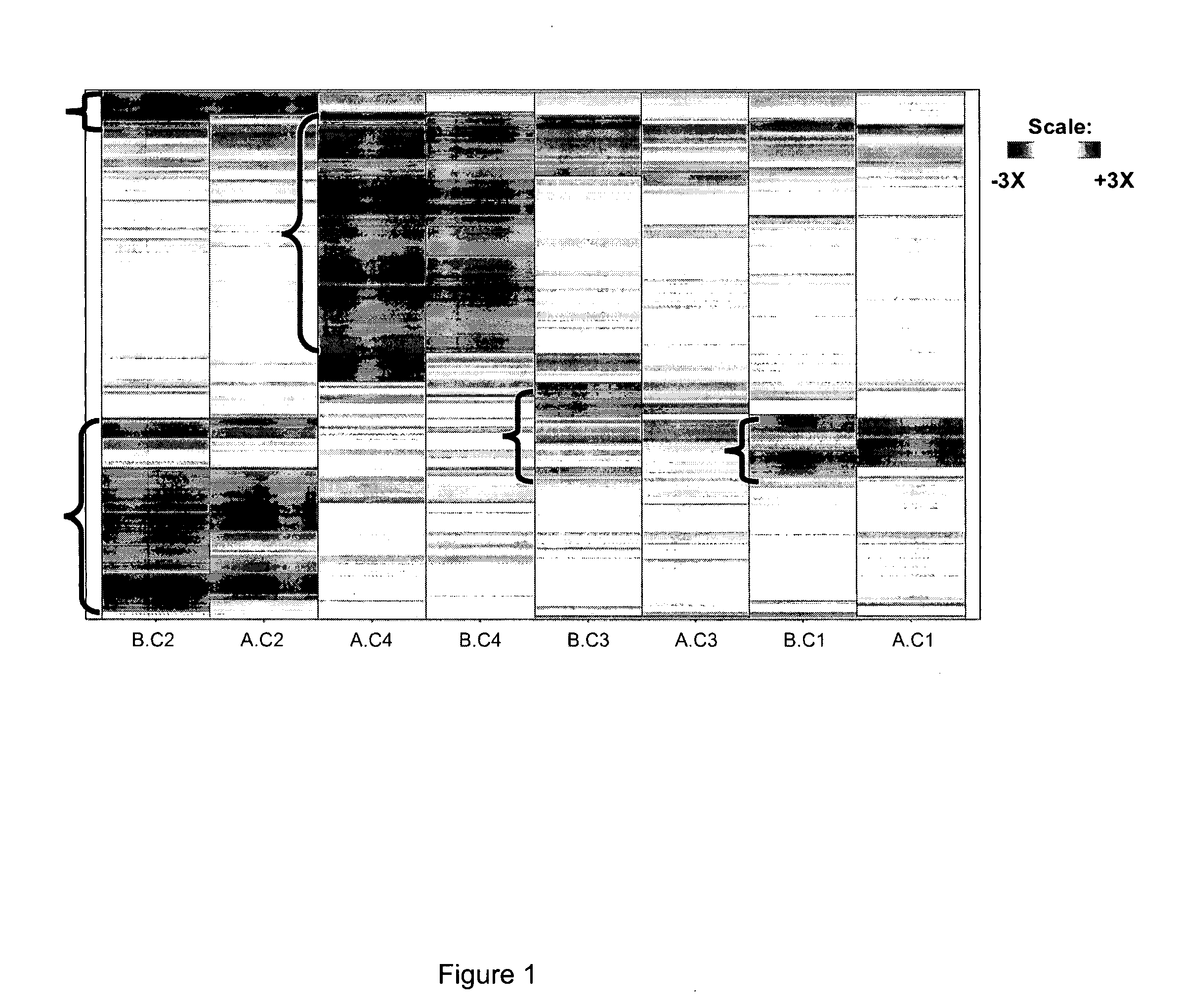 Methods, libraries and computer program products for determining whether siRNA induced phenotypes are due to off-target effects