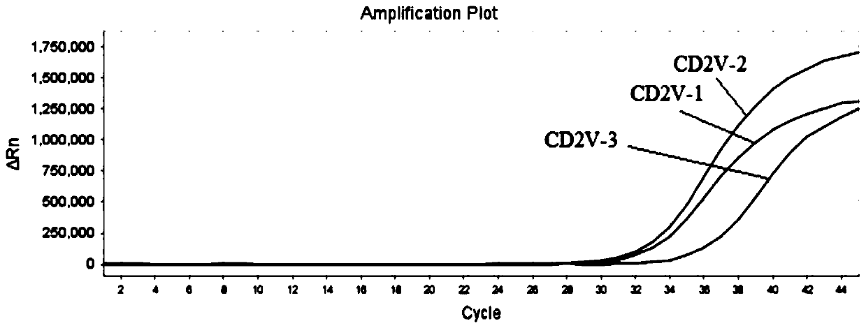 Real-time fluorescent PCR (polymerase chain reaction) detection primer probe set, kit and method for African swine fever virus CD2V gene