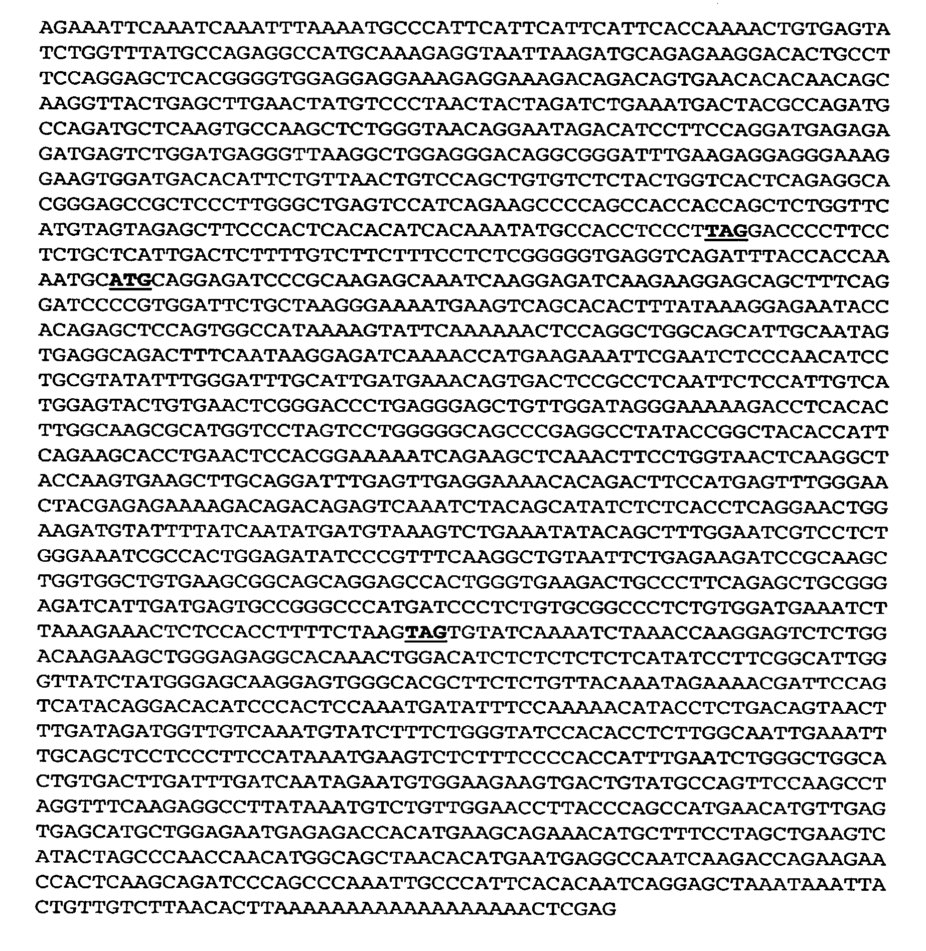 Novel RIP3 associated cell cycle proteins, compositions and methods of use