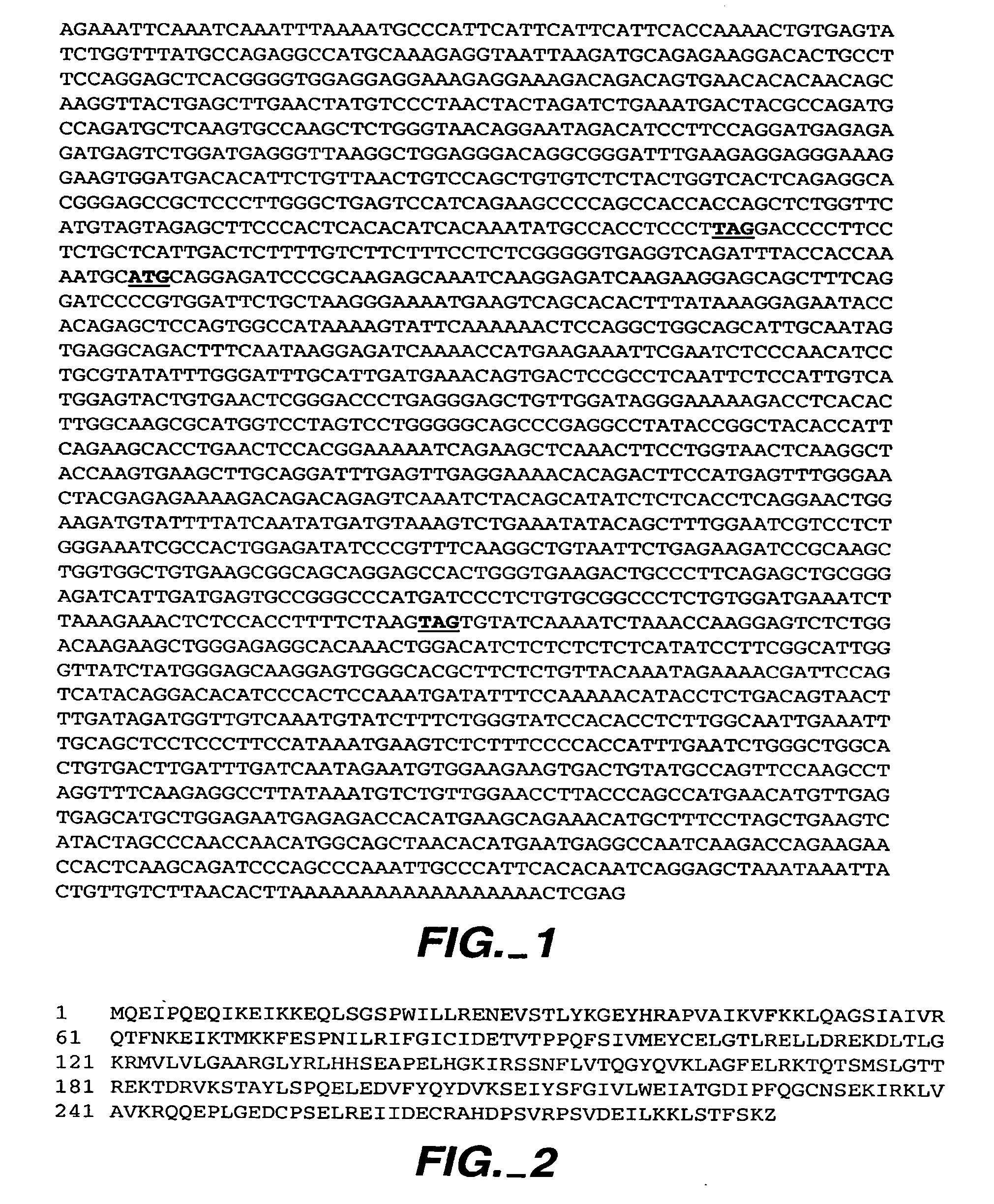 Novel RIP3 associated cell cycle proteins, compositions and methods of use