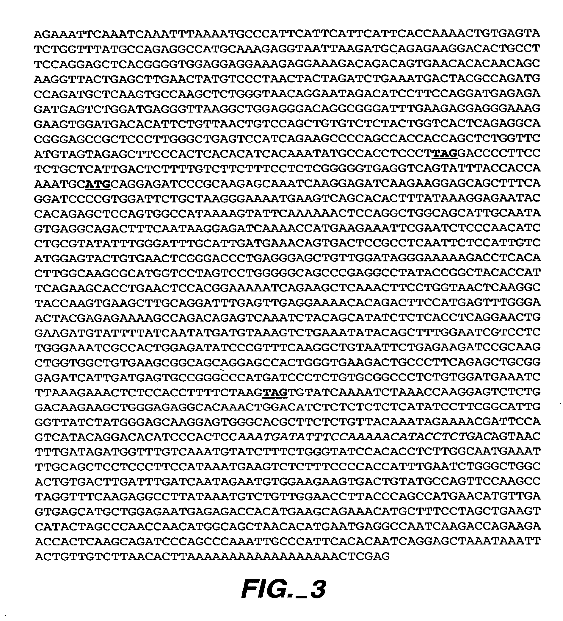 Novel RIP3 associated cell cycle proteins, compositions and methods of use