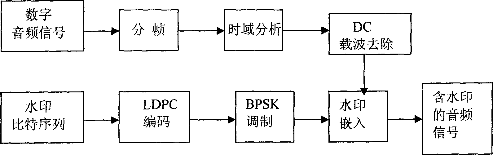 Didigal audio waterprint method based on low density parity check code