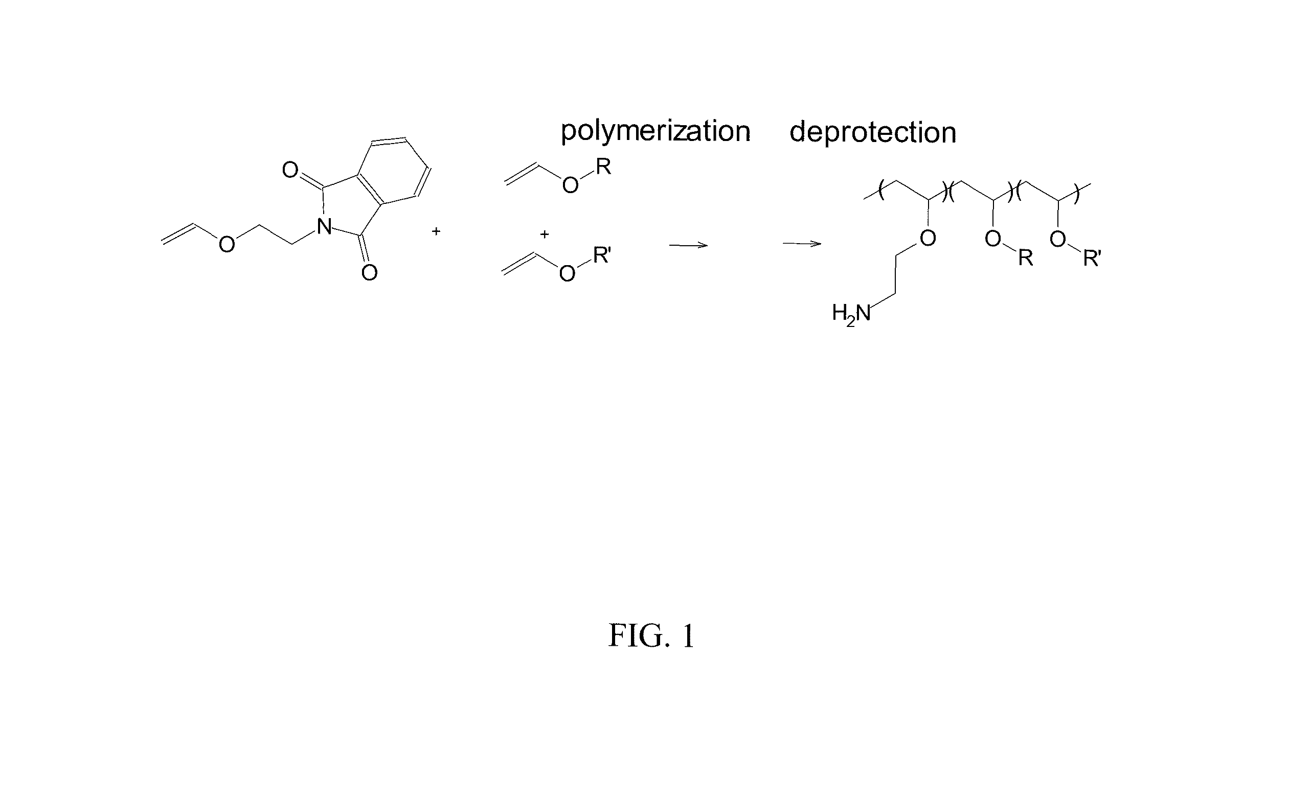 Endosomolytic poly(acrylate) polymers