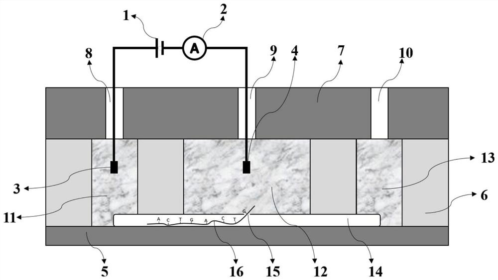 A nanotube-based nanopore detection system and its preparation method and application