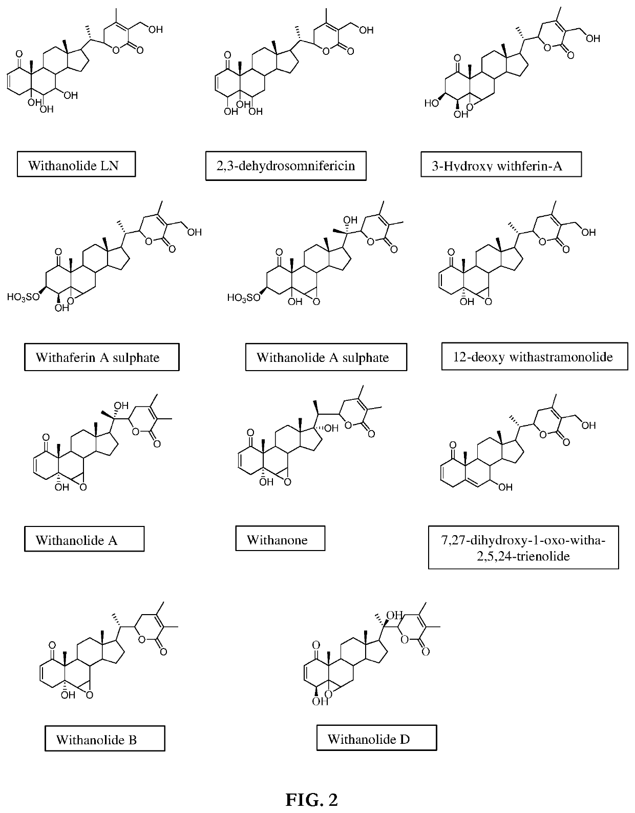 Withania somnifera composition, method of preparation and use thereof