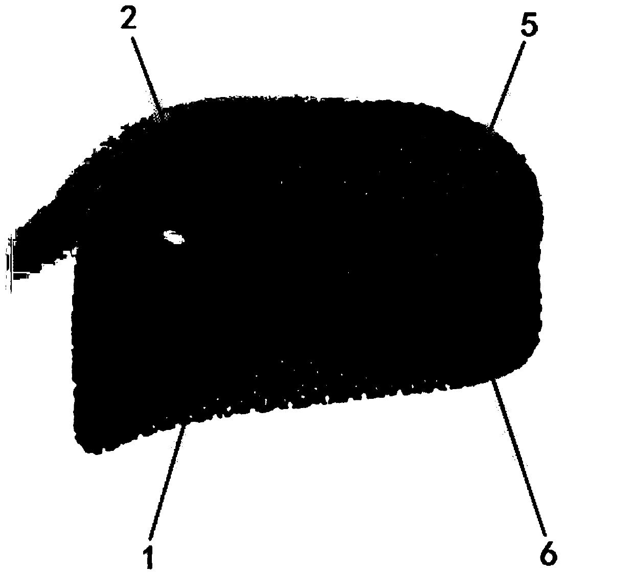 Acetabular roof prosthesis and making method thereof