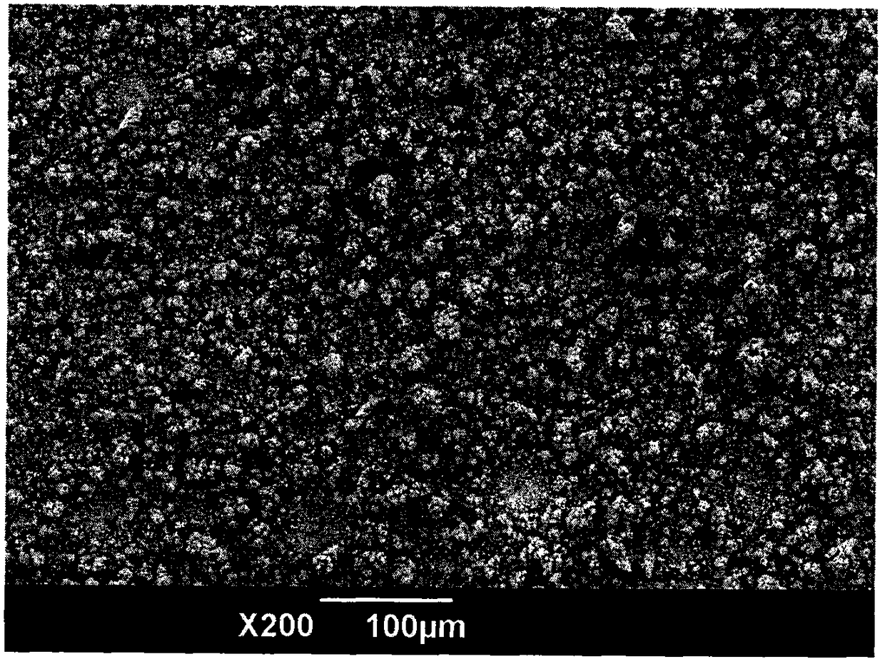 An electrochemical method for preparing copper dendrite superhydrophobic surface