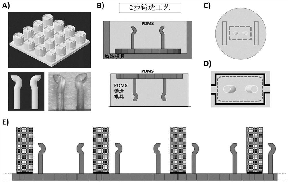 Microfabricated devices and high throughput assays for modulators of cell behavior