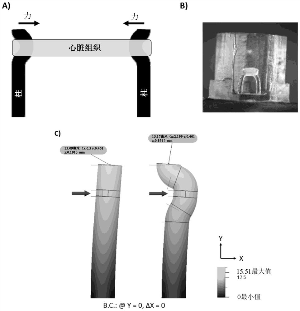 Microfabricated devices and high throughput assays for modulators of cell behavior