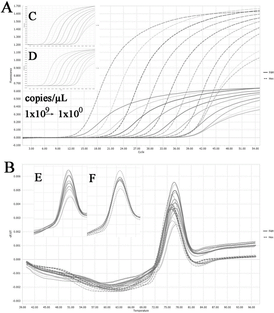 A double-colour fluorescence detecting method, primers and probes for rapidly distinguishing Genotype II PRV, Genotype I PRV and a vaccine strain