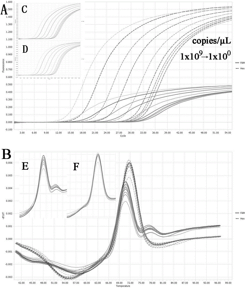 A double-colour fluorescence detecting method, primers and probes for rapidly distinguishing Genotype II PRV, Genotype I PRV and a vaccine strain