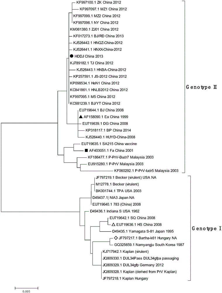 A double-colour fluorescence detecting method, primers and probes for rapidly distinguishing Genotype II PRV, Genotype I PRV and a vaccine strain