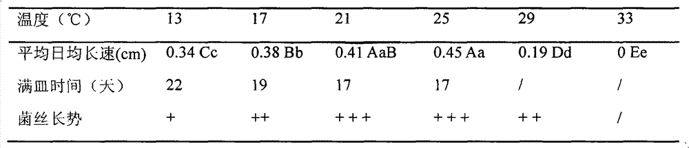 Coprinus atramentarius and cultivation method thereof