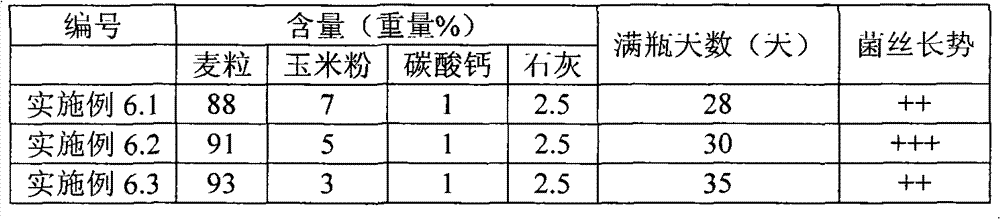 Coprinus atramentarius and cultivation method thereof