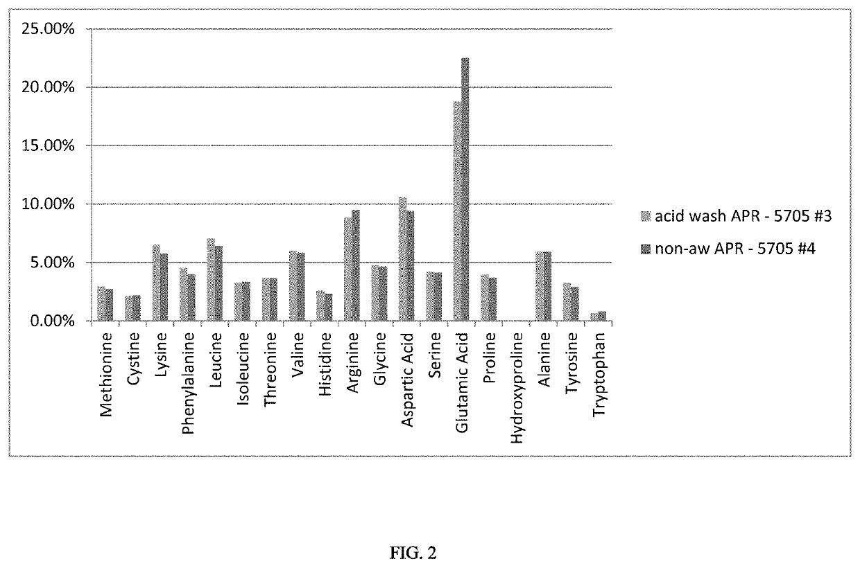 Protein rich food ingredient from biomass and methods of production