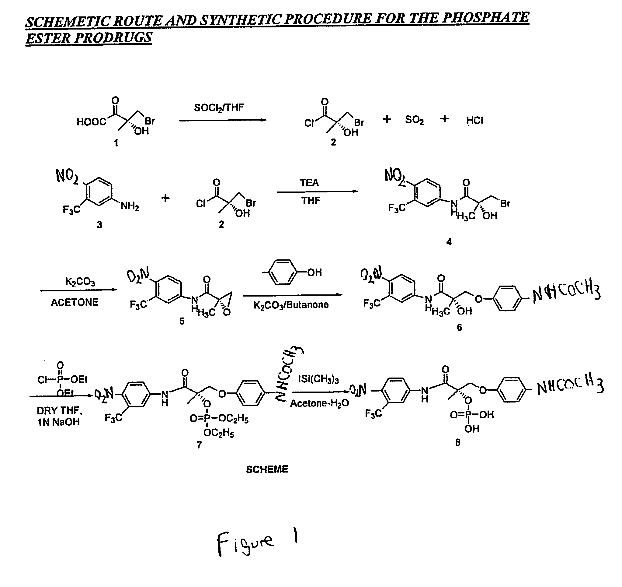 Prodrugs of selective androgen receptor modulators and methods of use thereof