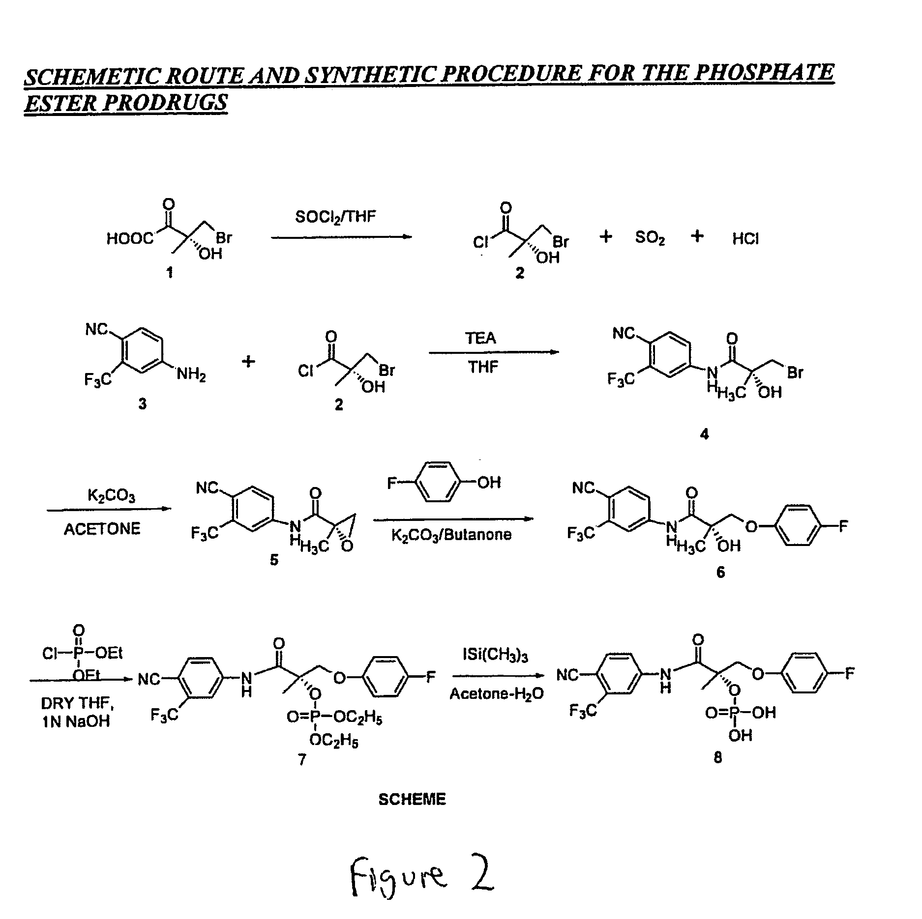 Prodrugs of selective androgen receptor modulators and methods of use thereof