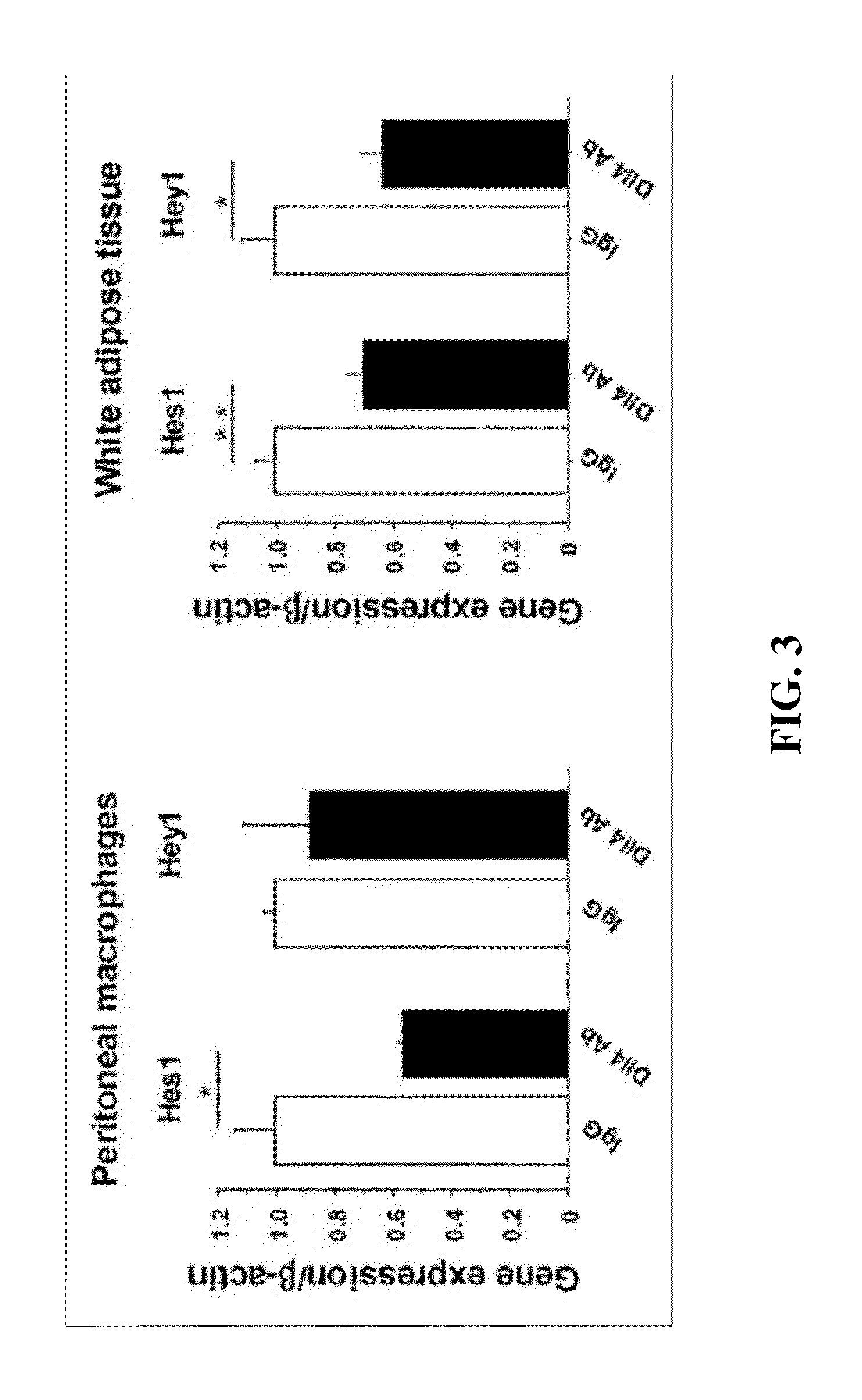 NOTCH inhibition in the treatment and prevention of a metabolic disease or disorder and cardiovascular complications thereof