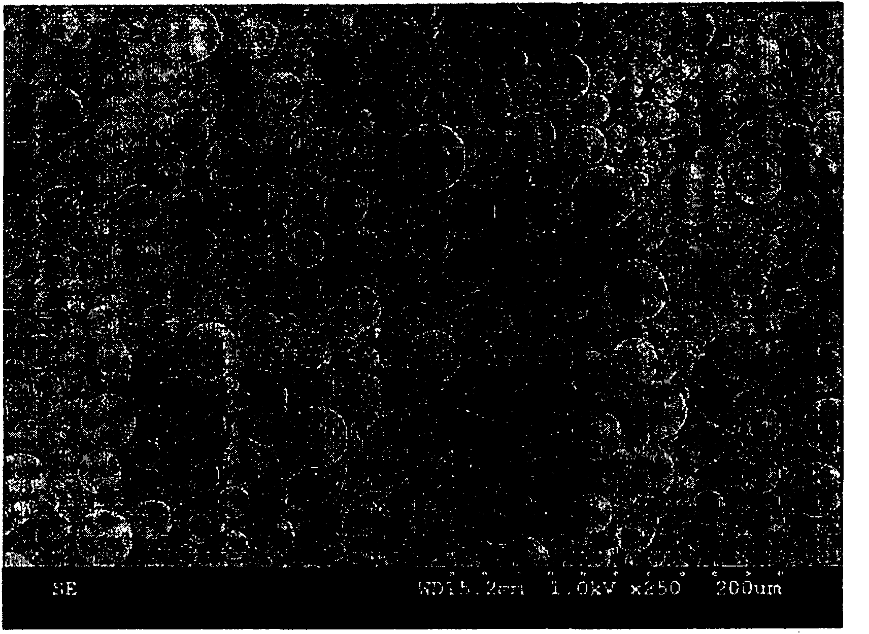 Double layered polymer capsules for the stabilization of carotenoids, the process for preparing the same, and the cosmetic composition containing the same