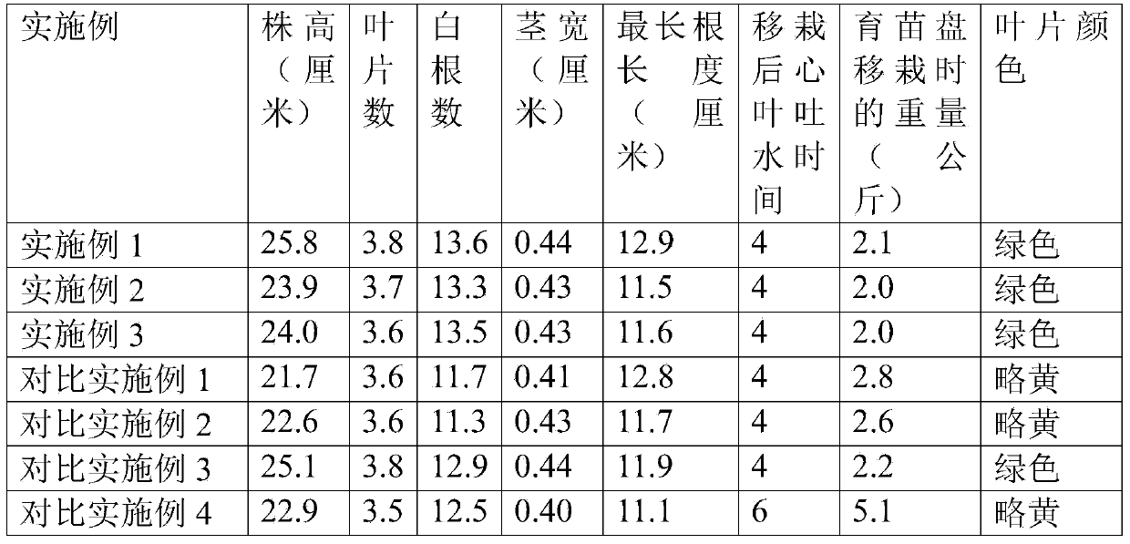 Rice seedling raising method for rice seedling transplantation of soilless straw substrate rice seedling transplanter