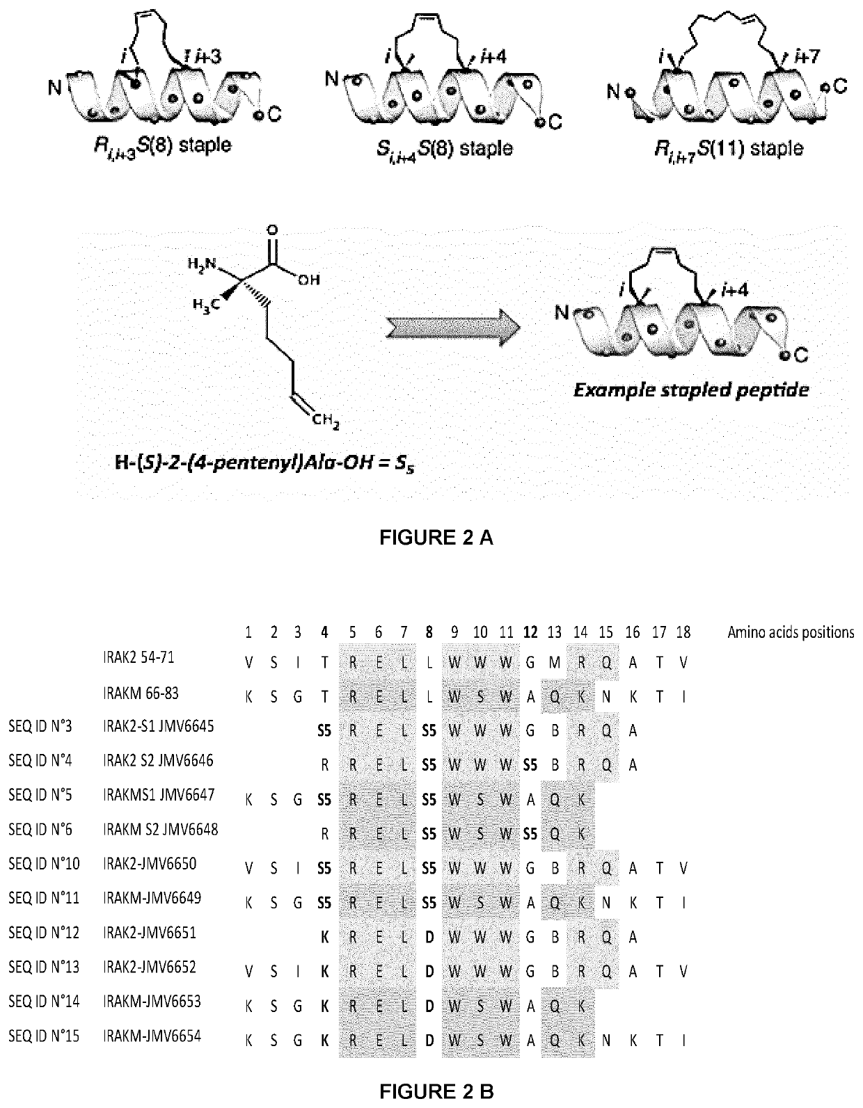 New stapled peptides and uses thereof
