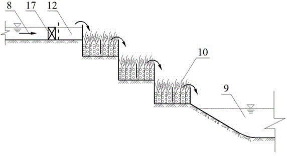 Self-irrigating self-draining ecological type irrigated area system
