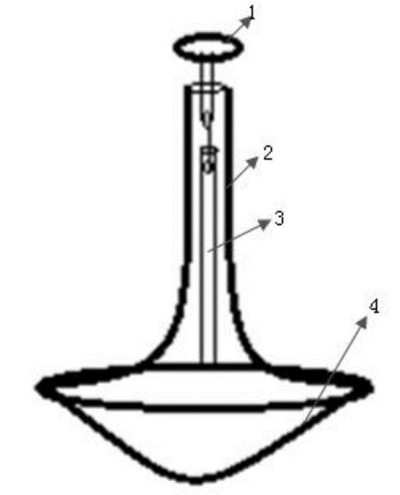 Boiling sounding buoy