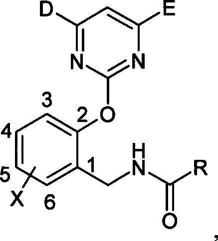 N-(2-pyrimidine oxygen based) benzyl amide compounds, preparation method and uses thereof