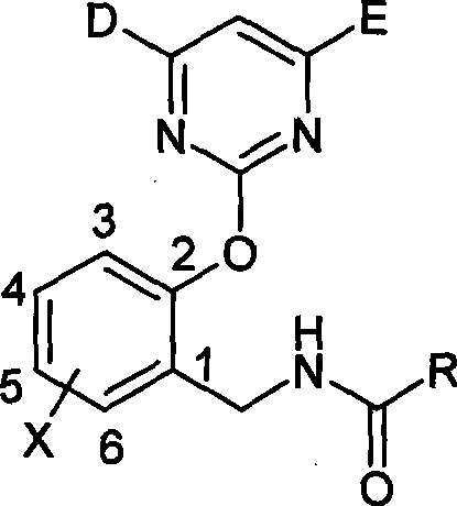 N-(2-pyrimidine oxygen based) benzyl amide compounds, preparation method and uses thereof