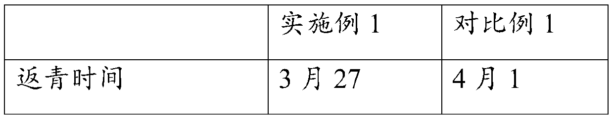 Method for planting wheat in Northern Xinjiang