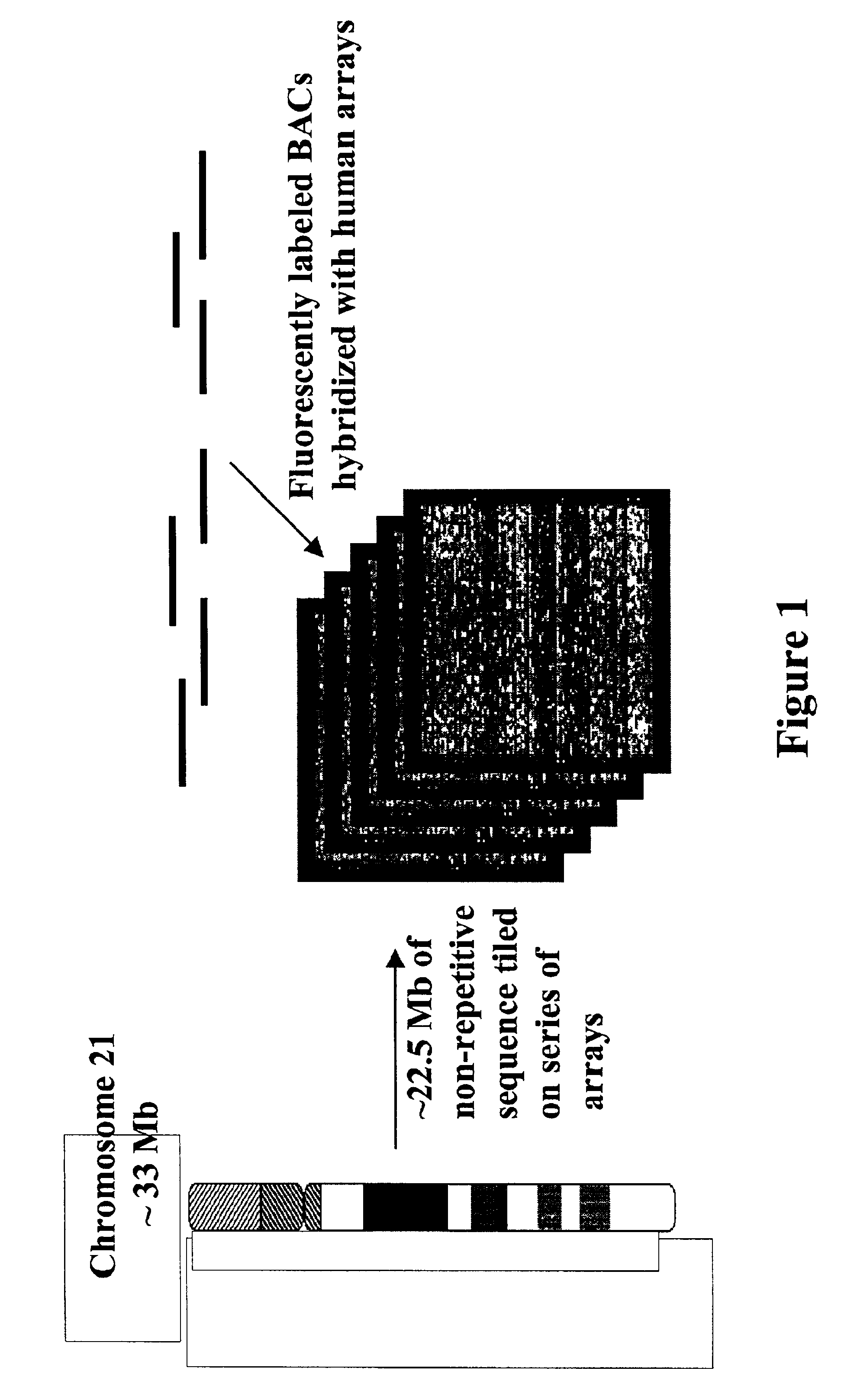 Methods for identifying the evolutionarily conserved sequences