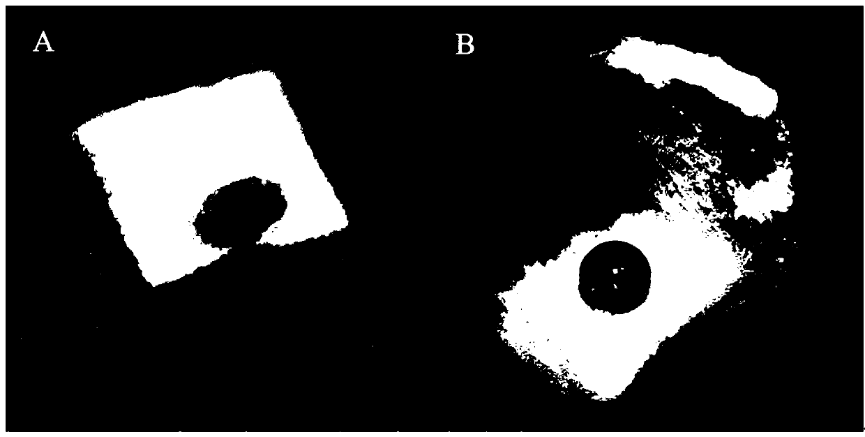 Preparation method and application of high-superhydrophobicity organosilane polymer coating