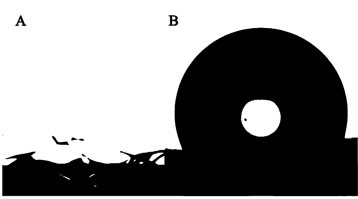 Preparation method and application of high-superhydrophobicity organosilane polymer coating