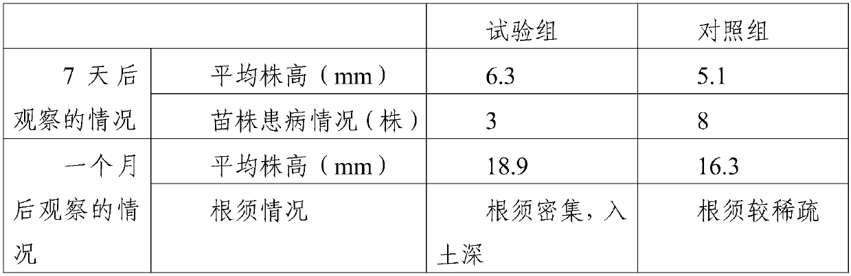 Insect-resistant spray used during germination of tea seedlings