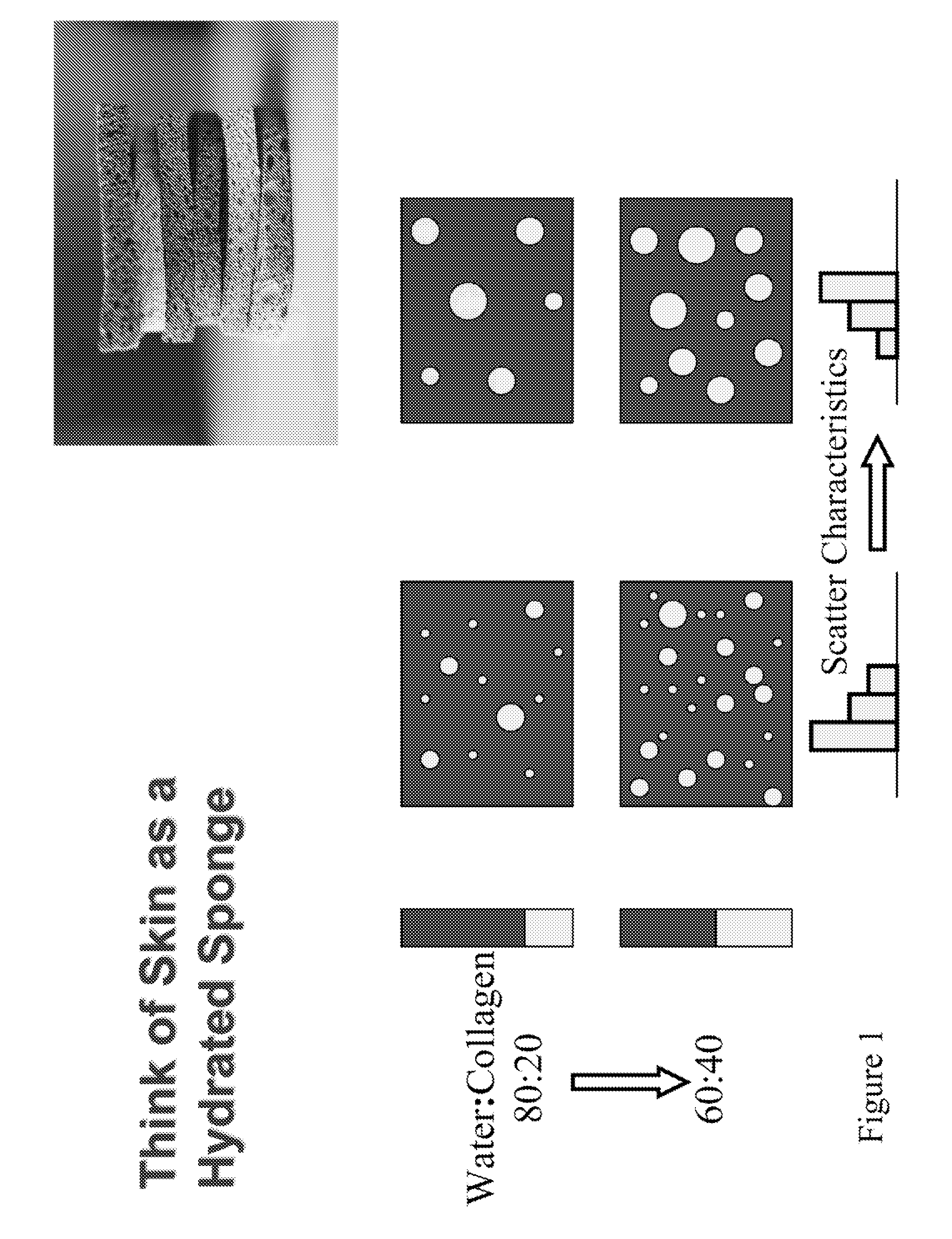 Methods and Apparatuses for Noninvasive Determinations of Analytes using Parallel Optical Paths