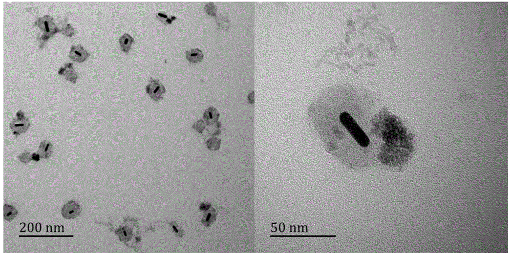 A preparation method of folic acid-coupled gold nanorod/polypyrrole/ferric oxide multifunctional composite nano-diagnosis and treatment agent